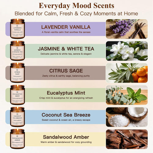 6-Pack Scented Soy Candle Set – Lavender Vanilla, Eucalyptus, Sandalwood, Jasmine & White Tea, Coconut, Sage | Natural Soy Wax Spring Summer Aromatherapy Candles for Home, Vacation, Relaxation & Spa